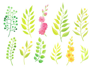 Green leaves and flowers set isolated on white background. 