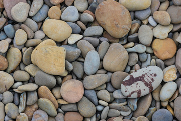Colorful large pebbles on the beach closeup, Black sea