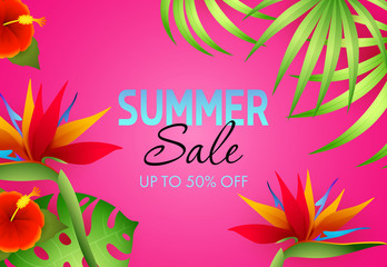Summer sale, up to fifty percent off lettering with tropical plants. Tourism, summer offer or sale design. Handwritten and typed text, calligraphy. For leaflets, invitations, posters or banners.