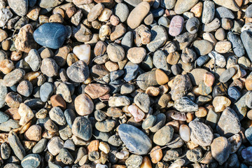 Colorful pebbles on the beach illuminated by the sun