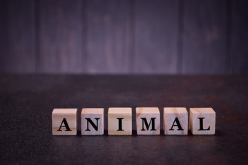 Fototapeta na wymiar The word animal on wooden cubes, on a dark background, symbols signs