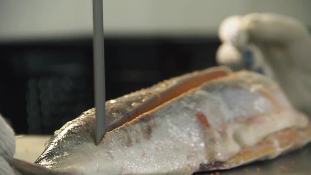 salmon cutting 2