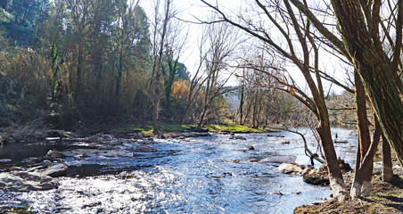 Obraz premium Monasterio de Sant Benet junto al río Llobregat en Sant Fruitós del Bages, Barcelona, Catalunya, España, Europa