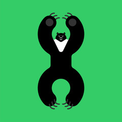 Himalayan bear black. Beast evil isolated cartoon style. big Wild predator attacks