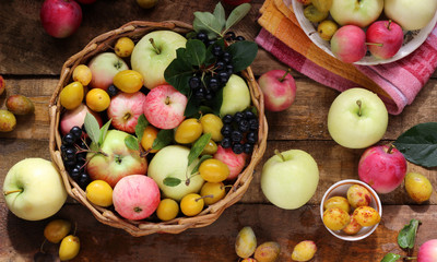 Village apples, plums and black chokeberry on the table.