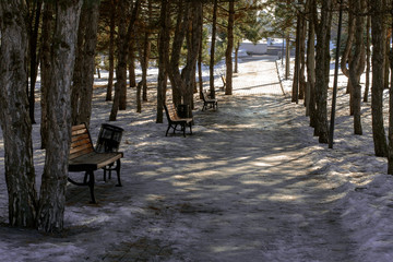 Park bench in winter