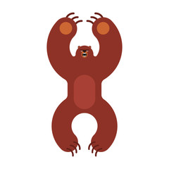 Grizzly bear evil isolated cartoon style. big bear attacks