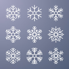 Set of snowflake on gray background