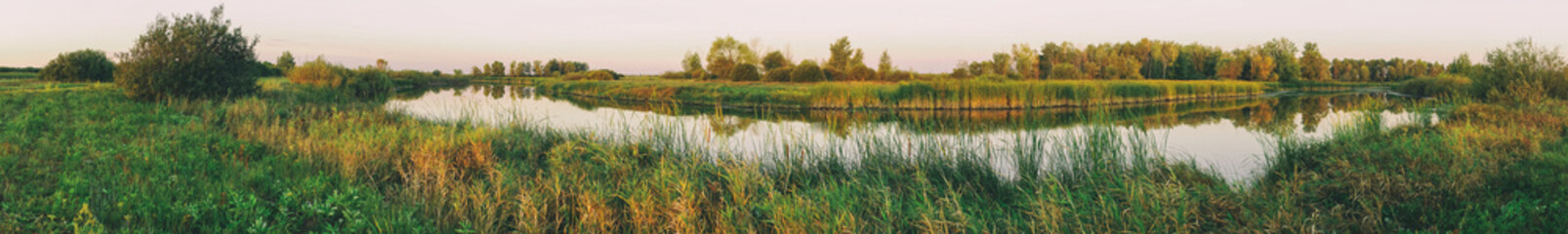 Panorama of a small river against the forest
