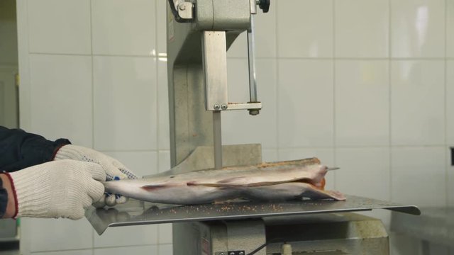 salmon cutting 4