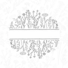 Hand drawn herbs and flowers background. Place for text.