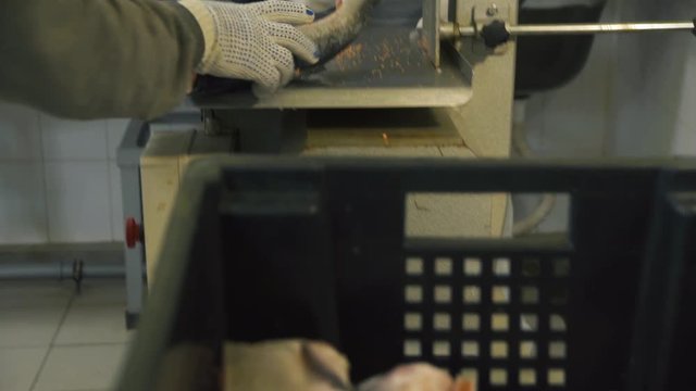 salmon cutting 5