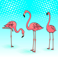 Pop art background. Three pink flamingos on the blue sea, birds rest. Raster © toricheks