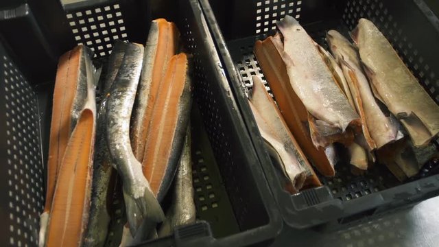 salmon cutting 6