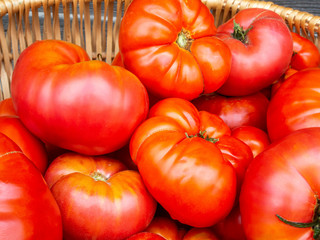 A heap of large red tomatoes in a basket close up
