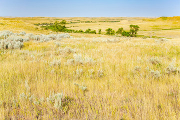 Little Missouri National Grassland in North Dakota, USA