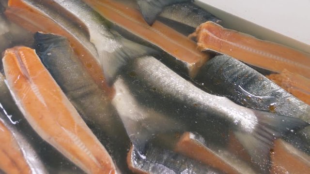 salmon cutting 8