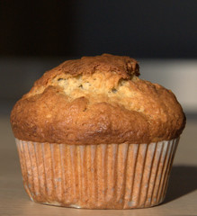 Plain delicious muffin