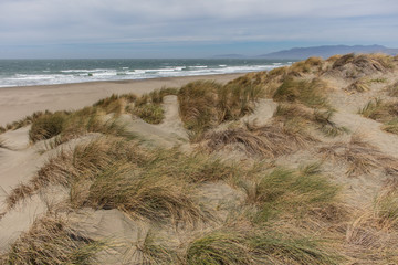 Coast in san francisco