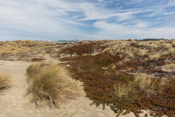 Naklejka premium Coast in san francisco