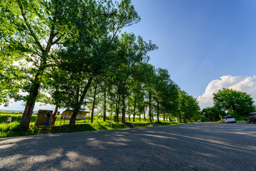 Fototapeta na wymiar Road landscape