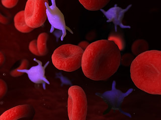 3d rendered medically accurate illustration of platelets