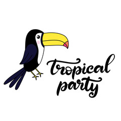 Toucan lettering vector illustration