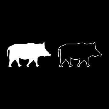 Wild boar Wild pig Hog Warthog icon set white color vector illustration flat style image