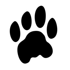 Isolated vector cat paw print on white background