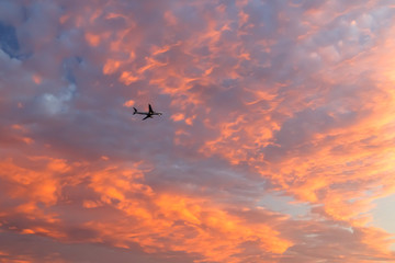 Airplane flying in the cloudy sunset sky. Travel transport airline sky background concept. Copy space.