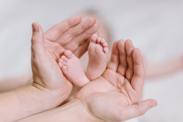 Obraz na płótnie Canvas Baby feet in the hands of mother - cute newborn in the hands of mum - happy family moments