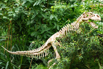Dinosaurus