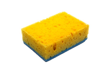 sponge isolated on white background