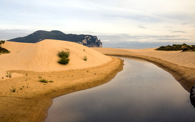 Sand beach in Cantabria in the north of Spain in a sunny day