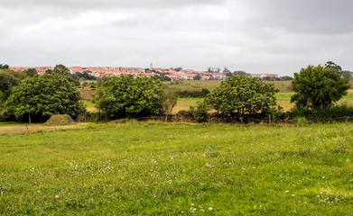 Field of Cantabria in rural scene on a sunny day