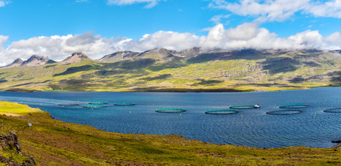 Fish farm close to Djupivogur town in Eastern Iceland as a part of Berufjordur fjord landscape.