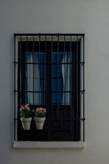 Fototapeta na wymiar Windows with bars and pots with flowers