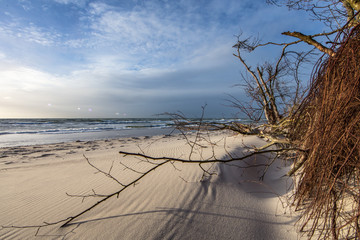 strand