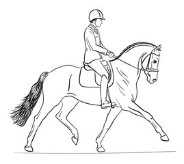 Dressage rider riding a horse at a trot.
