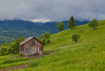 A wooden house on a green meadow in mountains. A house near old forest.