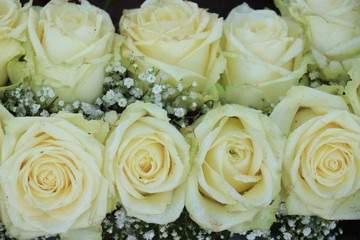 Obraz na płótnie Canvas White roses and Gypsophila