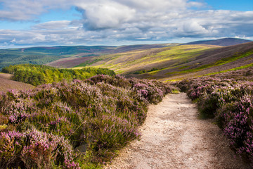 Hiking trail in Cairngorms National Park. Route to Clachnaben in Glen Dye, Aberdeenshire, Scotland
