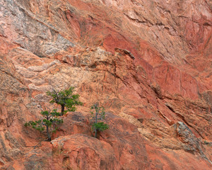 Garden of the Gods in Colorado