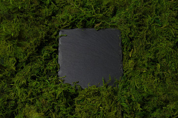 Czarna kamienna kwadratowa tablica, kamień do pisania, zielony mech chrobotek.