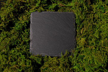 Czarna tablica kamienna, kamień do pisania, na mchu, kwadratowa