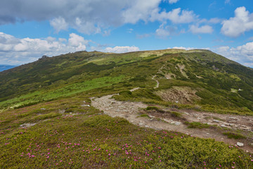 composite landscape. fence near the cross road on hillside meadow in mountains.
