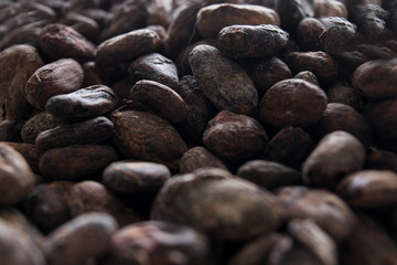 cacao beans