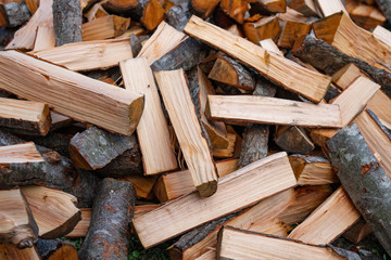 Preparation of firewood for the winter. firewood background, Stacks of firewood in the forest.
