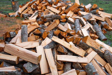 Preparation of firewood for the winter. firewood background, Stacks of firewood in the forest.