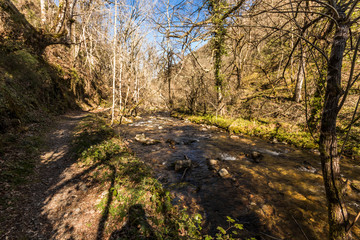 Asturias, Spain. The Muniellos Nature Reserve (Reserva natural integral), protected area of woodland along the valley of the river Muniellos-Tablizas